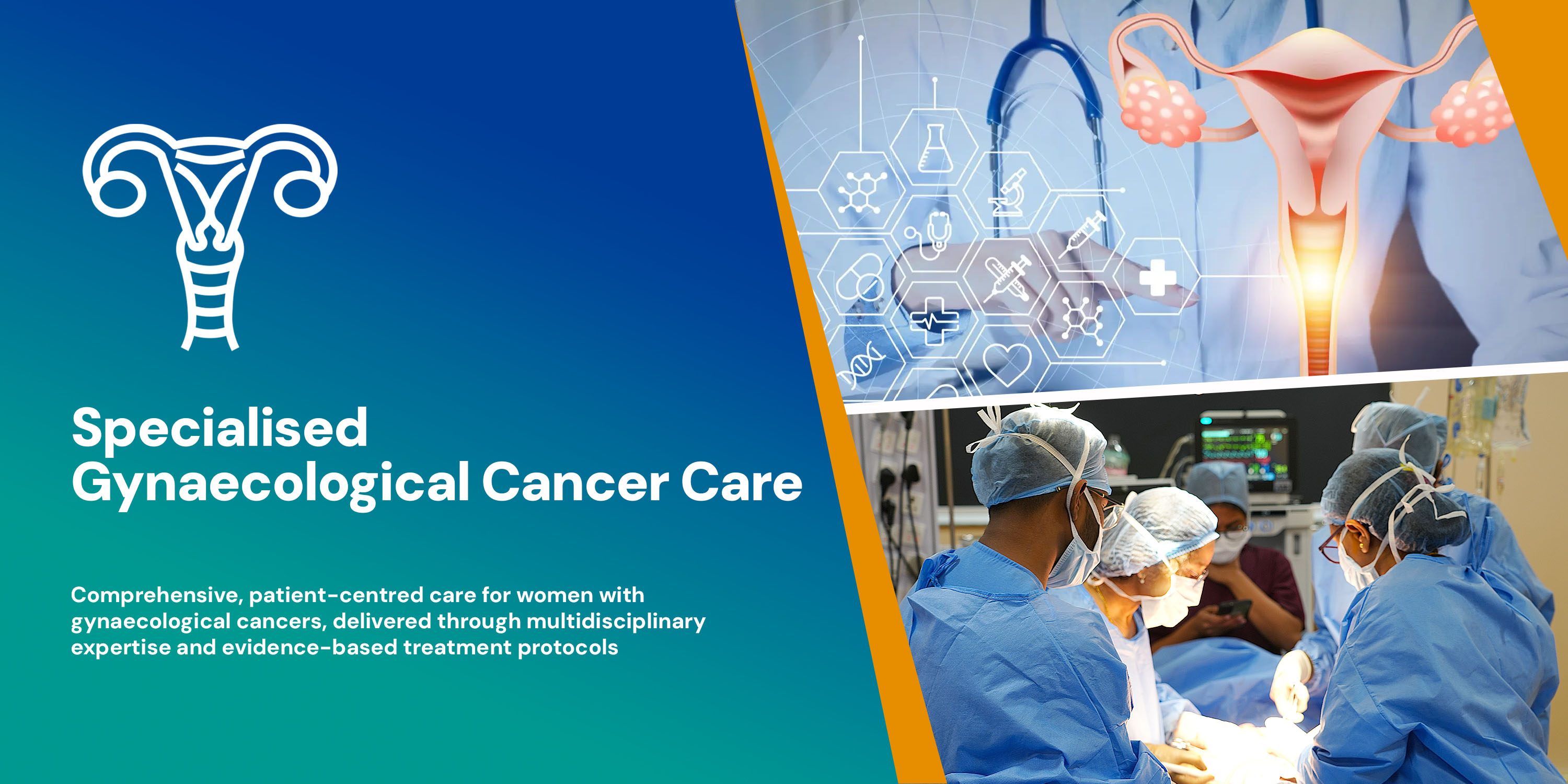 Breast Cancer Centre of Excellence